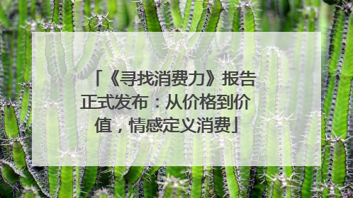 《寻找消费力》报告正式发布：从价格到价值，情感定义消费