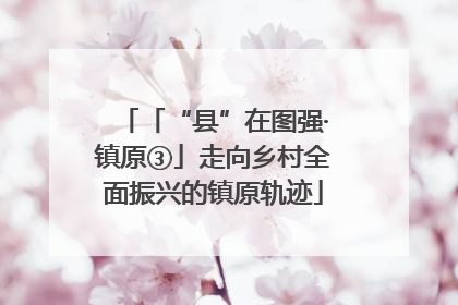 「“县”在图强·镇原③」走向乡村全面振兴的镇原轨迹