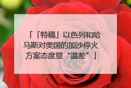 「特稿」以色列和哈马斯对美国的加沙停火方案态度显“温差”