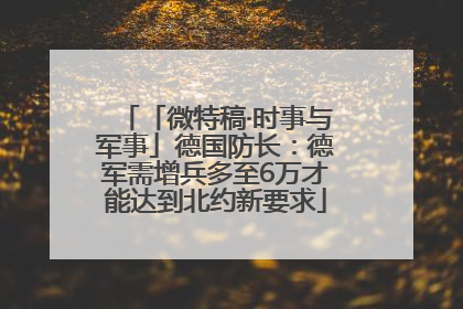 「微特稿·时事与军事」德国防长：德军需增兵多至6万才能达到北约新要求