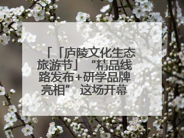 「庐陵文化生态旅游节」“精品线路发布+研学品牌亮相” 这场开幕式亮点纷呈！