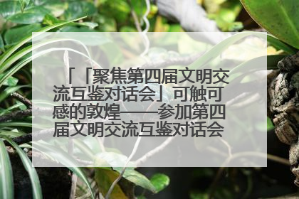 「聚焦第四届文明交流互鉴对话会」可触可感的敦煌——参加第四届文明交流互鉴对话会的外宾参观上元市集