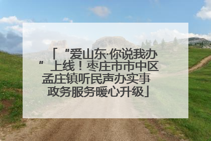 “爱山东·你说我办”上线！枣庄市市中区孟庄镇听民声办实事 政务服务暖心升级