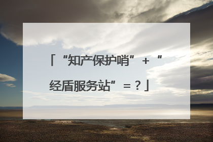 “知产保护哨”+“经盾服务站”=？