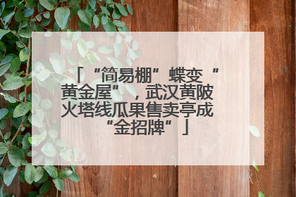 “简易棚”蝶变“黄金屋”，武汉黄陂火塔线瓜果售卖亭成“金招牌”