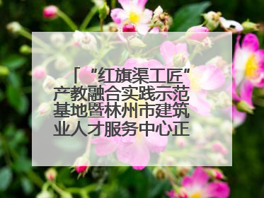 “红旗渠工匠”产教融合实践示范基地暨林州市建筑业人才服务中心正式成立