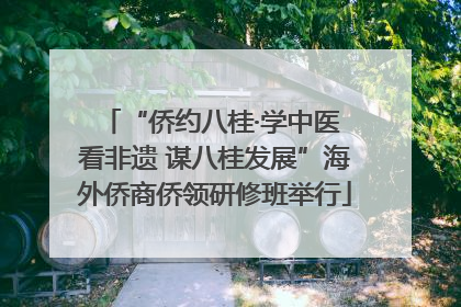 “侨约八桂·学中医 看非遗 谋八桂发展”海外侨商侨领研修班举行