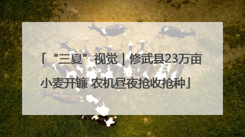 “三夏”视觉｜修武县23万亩小麦开镰 农机昼夜抢收抢种