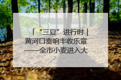 “三夏”进行时｜黄河口奏响丰收乐章——全市小麦进入大面积收获高峰期