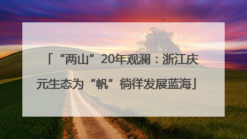 “两山”20年观澜：浙江庆元生态为“帆”徜徉发展蓝海