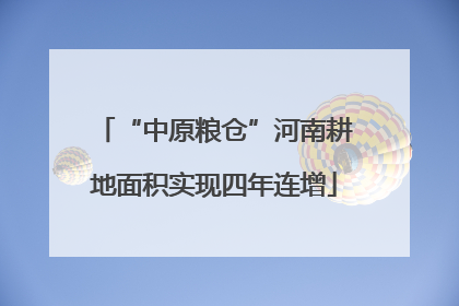 “中原粮仓”河南耕地面积实现四年连增