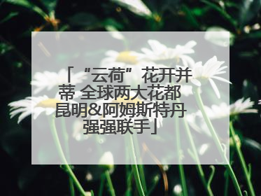“云荷”花开并蒂 全球两大花都昆明&阿姆斯特丹强强联手