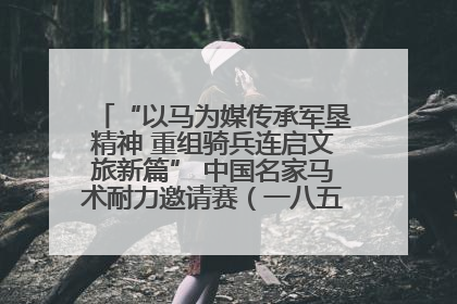 “以马为媒传承军垦精神 重组骑兵连启文旅新篇” 中国名家马术耐力邀请赛（一八五团站）暨重启骑兵连活动正式启动