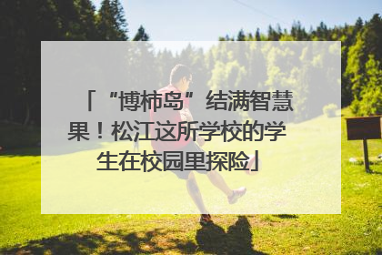 “博柿岛”结满智慧果！松江这所学校的学生在校园里探险