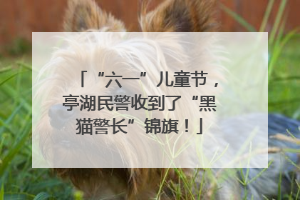 “六一”儿童节，亭湖民警收到了“黑猫警长”锦旗！