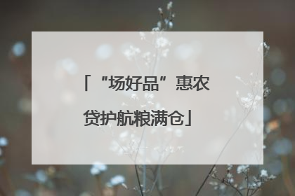 “场好品”惠农贷护航粮满仓