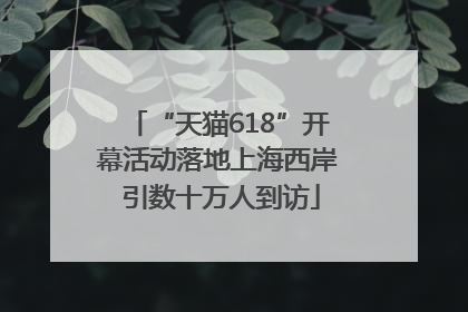 “天猫618”开幕活动落地上海西岸 引数十万人到访