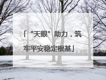 “天眼”助力，筑牢平安稳定根基