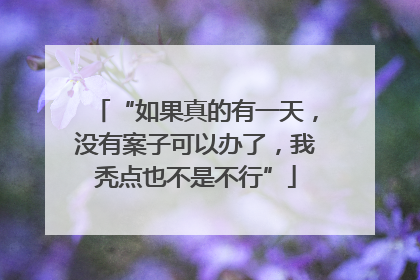 “如果真的有一天，没有案子可以办了，我秃点也不是不行”