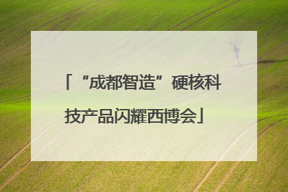 “成都智造”硬核科技产品闪耀西博会