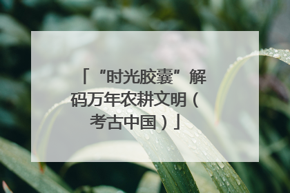 “时光胶囊”解码万年农耕文明（考古中国）