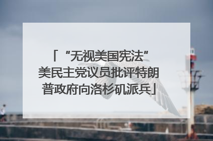 “无视美国宪法” 美民主党议员批评特朗普政府向洛杉矶派兵