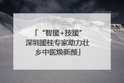 “智援+技援” 深圳援桂专家助力壮乡中医焕新颜