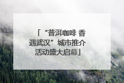 “普洱咖啡 香遇武汉”城市推介活动盛大启幕