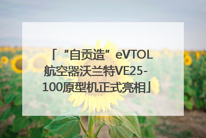 “自贡造”eVTOL航空器沃兰特VE25-100原型机正式亮相