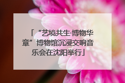 “艺境共生·博物华章”博物馆沉浸交响音乐会在沈阳举行