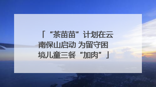 “茶苗苗”计划在云南保山启动 为留守困境儿童三餐“加肉”