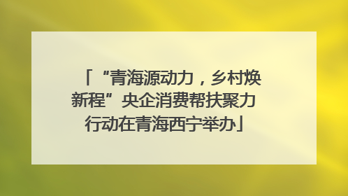 “青海源动力，乡村焕新程”央企消费帮扶聚力行动在青海西宁举办