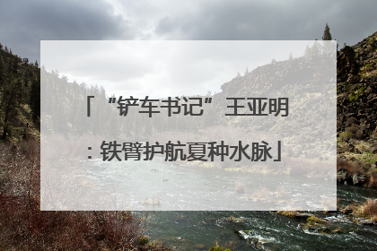 “铲车书记”王亚明：铁臂护航夏种水脉