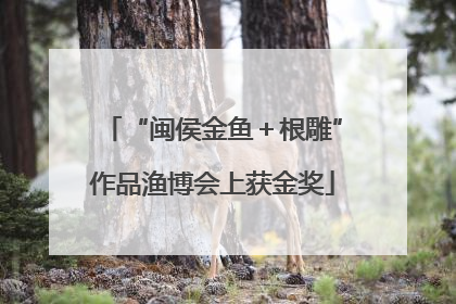 “闽侯金鱼＋根雕”作品渔博会上获金奖