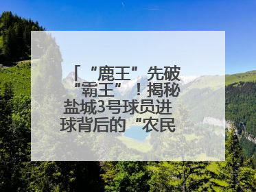 “鹿王”先破“霸王”！揭秘盐城3号球员进球背后的“农民街游侠”联盟