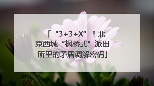 “3+3+X”！北京西城“枫桥式”派出所里的矛盾调解密码