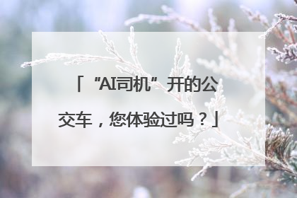 “AI司机”开的公交车，您体验过吗？