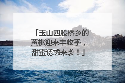 玉山四股桥乡的黄桃迎来丰收季，甜蜜诱惑来袭！