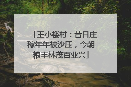 王小楼村：昔日庄稼年年被沙压，今朝粮丰林茂百业兴