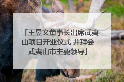 王昱文董事长出席武夷山项目开业仪式 并拜会武夷山市主要领导