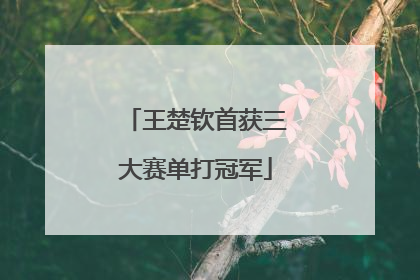 王楚钦首获三大赛单打冠军