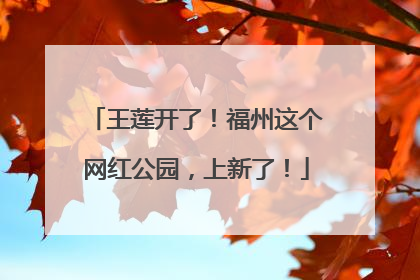 王莲开了！福州这个网红公园，上新了！