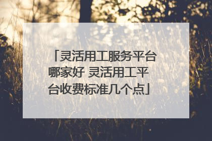灵活用工服务平台哪家好 灵活用工平台收费标准几个点