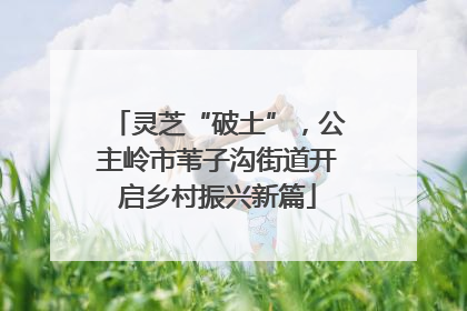 灵芝“破土”，公主岭市苇子沟街道开启乡村振兴新篇