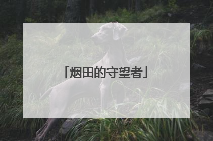 烟田的守望者