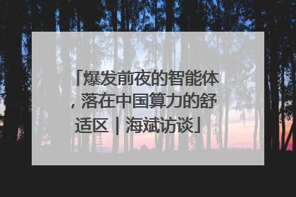 爆发前夜的智能体，落在中国算力的舒适区｜海斌访谈