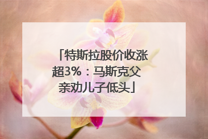 特斯拉股价收涨超3%：马斯克父亲劝儿子低头