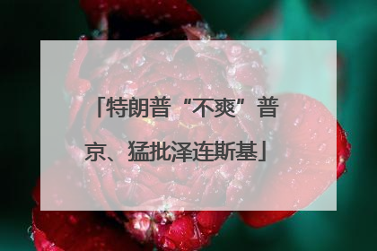 特朗普“不爽”普京、猛批泽连斯基