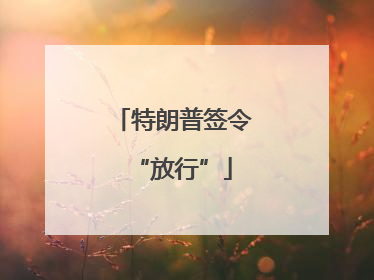 特朗普签令“放行”