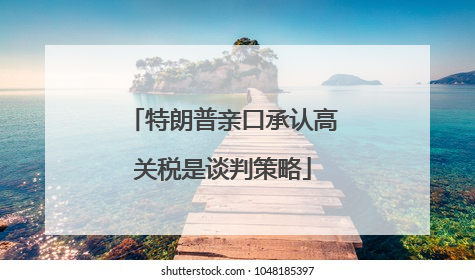 特朗普亲口承认高关税是谈判策略